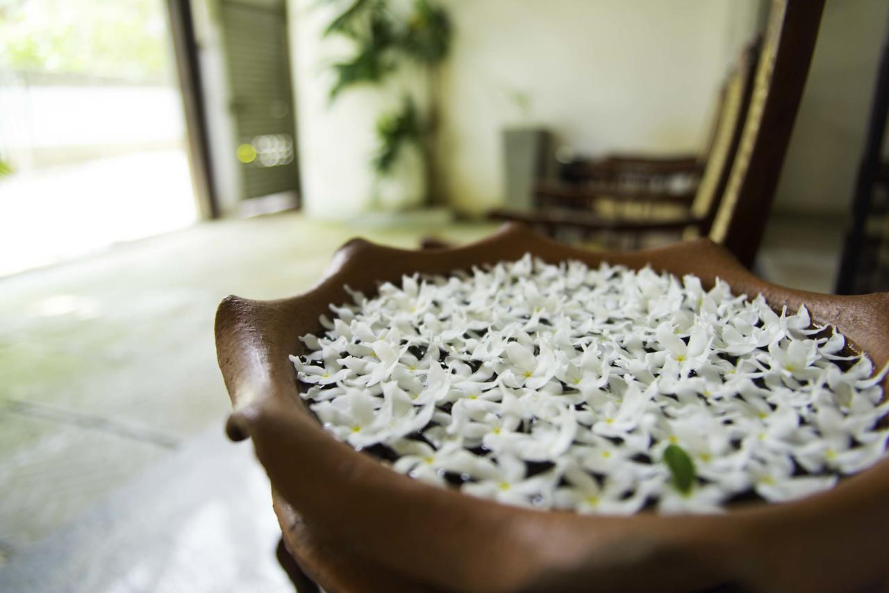 Hotel Sunshine Kolombo Zewnętrze zdjęcie